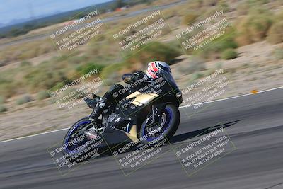 media/Oct-01-2023-SoCal Trackdays (Sun) [[4c570cc352]]/Turn 14 Side (1135am)/
